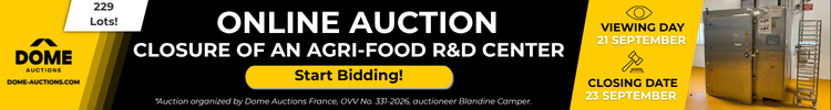 dome-auctions dome-auctions